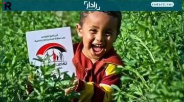 صرف ديسمبر.. بدء تحويل معاشات تكافل وكرامة لمستفيدي 2025 فورًا